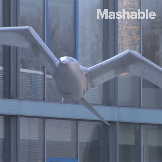 11M views · 508 reactions | These flying robots will soothe your workday blues. | Mashable | Facebook
