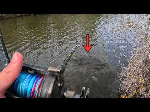 I Have NEVER Caught This Many At ONCE! (SUPER RARE)