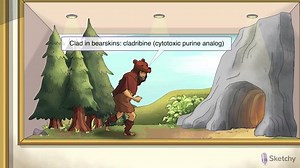 Cytotoxic Nucleoside Analogs - Free Sketchy Medical Lesson