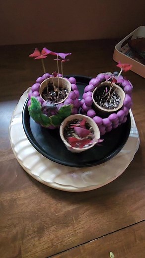 My 13 days old oxalis triangularis a.k.a false shamrock, but since purple💜 is my fave color, I chose the purple shamrock. I'm pretty impressed and can't wait to see them blooming. #greenthumb #iloveplants #indoorplants | Sheri Hill