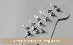 ▷ NOTAS DE LA GUITARRA: descubre cuáles son y cómo aprenderlas【2020】
