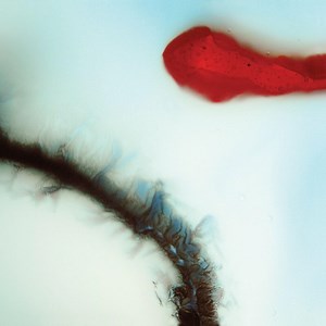 STUBBORN HEART – STARTING BLOCK – Radio Nova