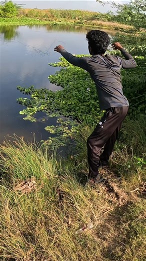 Bottle Trick Fishing – Huge Viral Fish Catch! 🔥🎣 #SnakeheadFish #ViralFishing #Shorts