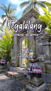 Tegalalang Rice Terrace (Terrazas de Arroz) (Bali, Indonesia)