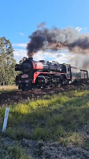 1.8K reactions · 94 shares | Our Popular Dungog Picnic Train Is Back!...