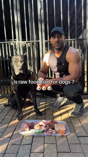Is Raw Food Bad for Dogs? Health Risks of Raw Dog Diets