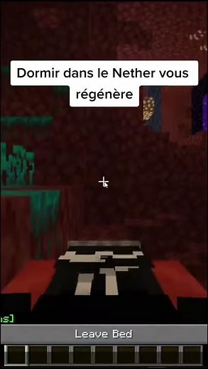 "Trucs et Astuces" pour Minecraft