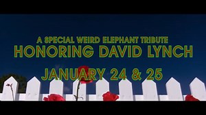 Thanks for the dreams, David Lynch 💚 Weird Elephant presents a special tribute: Honoring David Lynch. Three films playing over two nights next weekend, January 24 and 25. 🐘 Blue Velvet, 1/24 at 8:30pm 🐘 Mulholland Drive, 1/25 at 8:30pm 🐘 Eraserhead, 1/24 at 11pm & 1/25 at 11:20pm Get tickets: https://grandcinema.com/weird-elephant/ | The Grand Cinema