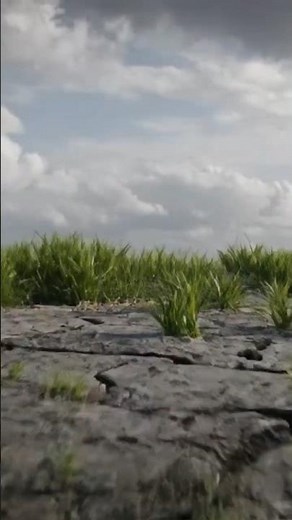 From Barren Land to Beautiful Garden | Garden Planner App