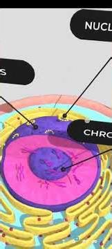 cell in3d ☠️☠️##@@#####