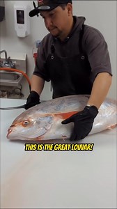 453K views · 2.5K reactions | Filleting a Louvar Fish at Tunaville...