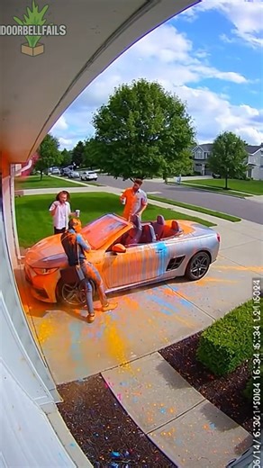 1.5K views · 28 reactions | Portal BK2 on Reels | Facebook