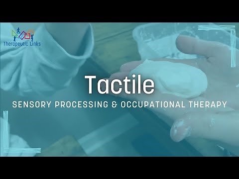 Tactile | Sensory Processing & Pediatric Occupational Therapy