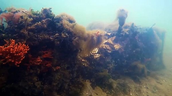 Holding Back the Tide Documentary Movie