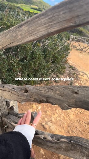 Aimee • Escape to Menorca 🐚 on Instagram: "Coast to countryside in Santo Tomàs 🌿🌊 A unique wooden boardwalk linking beach walks with rural paths, perfect for slow strolls, bikes and scooters. 🚶🏼🚲 🛴 Peaceful now, but a lovely resort to base yourself in season if you like things calm and easy. 🫶🏼 Menorca Beaches | Hidden Gems | Holiday in Menorca | family holidays Menorca | luxury holidays Menorca | villas Menorca | things to do Menorca | boat charter Menorca | yacht charter Menorca"