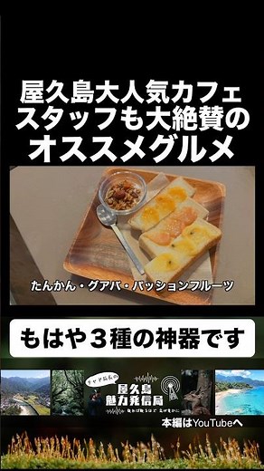 [Clipping] Exclusive sneak peek at a hugely popular cafe where you can fully enjoy Yakushima 🎁