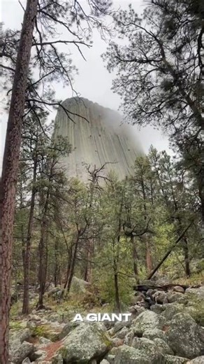Is Devils Tower an Alien Landing Pad or a Sacred Monument? 🇺🇸👽#shorts