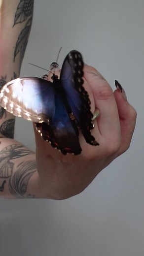 Ask & Embla on Reels