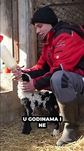 Moj deda mi je najveća podrška i pomoć | Izazovi Avanturu