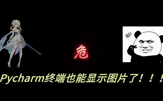 【Python】Pycharm终端也能显示图片！！！