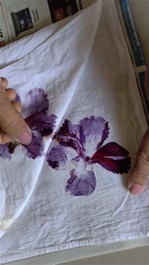 ECO printing on Handkerchief #botanicalpainting #ecoprintindonesia #ecoprintindonesia #shorts