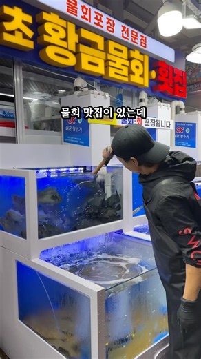 요즘 시장 입구 바로 옆에서 물회 포장으로 인기인 곳!!🔥 #속초맛집 #속초중앙시장 #속초물회 #속초횟집