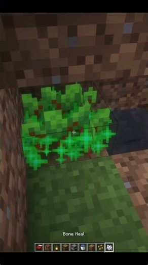 Minecraft Starter Base 🛖