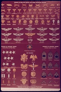 United States Army enlisted rank insignia of World War II - Alchetron, the free social encyclopedia