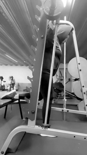 Bulgarian Split Squat Range Of Motion | Grant Lofthouse