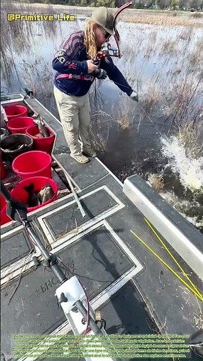 Gestion aquatique : la pêche au harpon pour lutter contre les espèces envahissantes