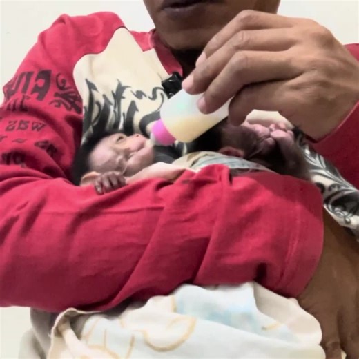 My efforts to persuade this poor little monkey yielded good results