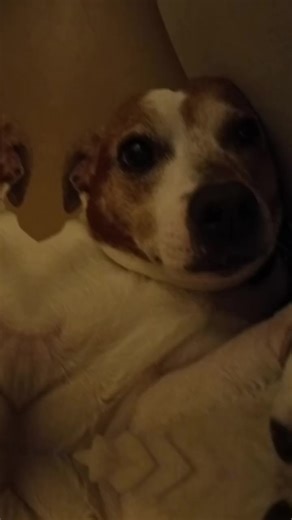 helloprincess02 (@helloprincess02)’s videos with original sound - tay.nishi