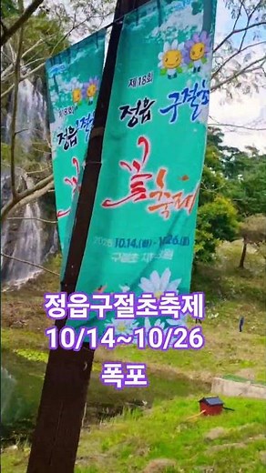 정읍구절초축제 #식물 #자연 #여행 #관광 #정읍구절초축제 #구절초 #구절초꽃 #정읍시 #산내면 #지역축제 #구절초축제 #폭포