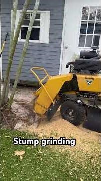 Removing this Framboyan stump with the Vermeer sc362 #stumpgrinding #treeservice #miami