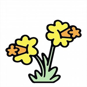 Download daffodil flower design