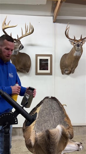 Tips for Making Realistic Taxidermy Mounts