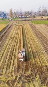 Harvesting Glory A Day in the Fields. #HarvestTime #AgriculturalBeauty #FarmingTech #GoldenFields #ModernAgriculture | Doraya Jennings