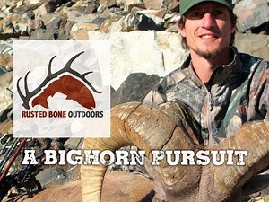 Rocky Mountain Bighorn Sheep Hunting Adventure in Colorado