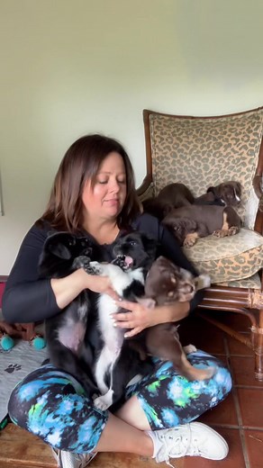 There’s actually 10 😂 my entire life is poop and pee right now #puppies #puppiesoftiktok #rescue #bridesmaidsmovie