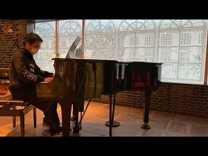 Chopin - Fantaisie Impromptu, on the street piano at Tokyo Haneda Airport Terminal1.