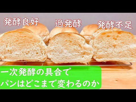 一次発酵をとる意味あるの？発酵の状態によるパンの違いを検証！