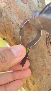 997K views · 202 reactions | Popular Fruit Tree Budding Methods. #budding #garden #guava #viralreelsシ #fruit | Cha Garden | Facebook