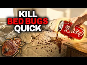 THE BEST WAY To Get Rid Of Bed Bugs QUICKLY!! Coca Cola...