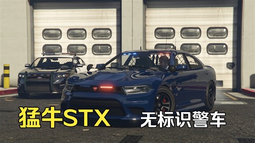 【GTA Online】低调但是致命-无标识猛牛STX改装案例