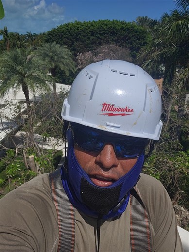 David N. 502 (@davidchapin3332)’s videos with sonido original - caballero3602