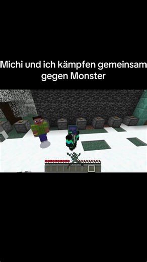 #Minecraft #die_minecraft_jungs