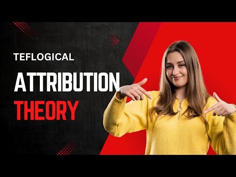 Attribution Theory: The Secret Psychology Behind Blaming Others!