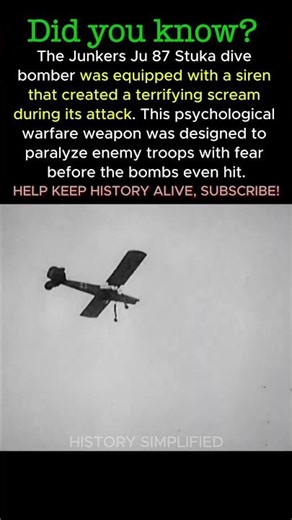 The Stuka's SCREAM Didn't Just Kill — It Destroyed Soldiers' Minds || WW2 #shorts #ww2 #history