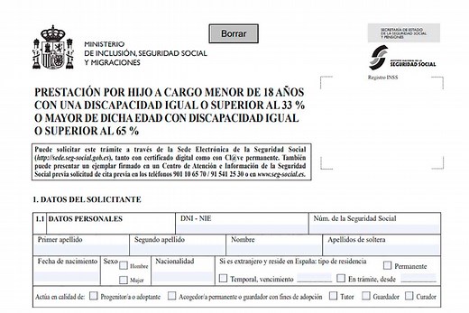 La ayuda por hijo a cargo | Ayudas públicas 2024 |