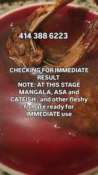 SIMPLE METHOD FOR TO REVIVE YOUR DRIED FISH. (FISH USED, MANGALA/AROWANA FISH)